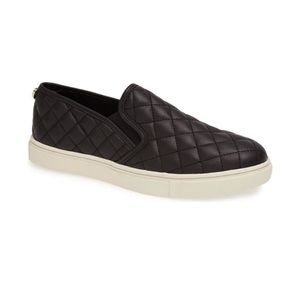 Steve Madden ecentrcq sneaker